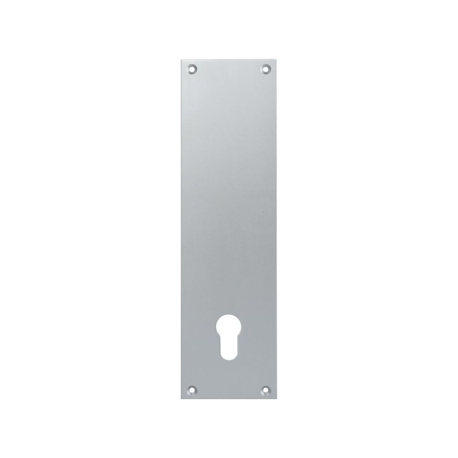 Poignées de porte palière sur plaques - aluminium anodisé DUVAL