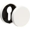 Rosace ronde blanche - Borgne - Arcolor 232 et 710 - La paire - Vachette